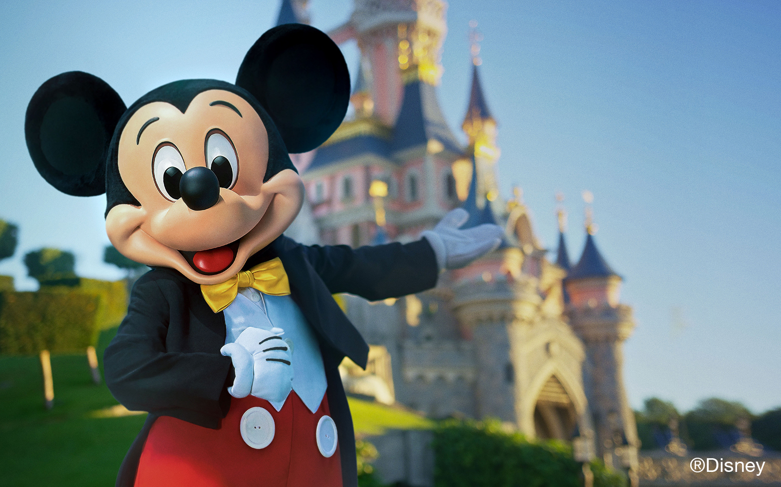 servicios-que-ofrece-disneyland-par-s